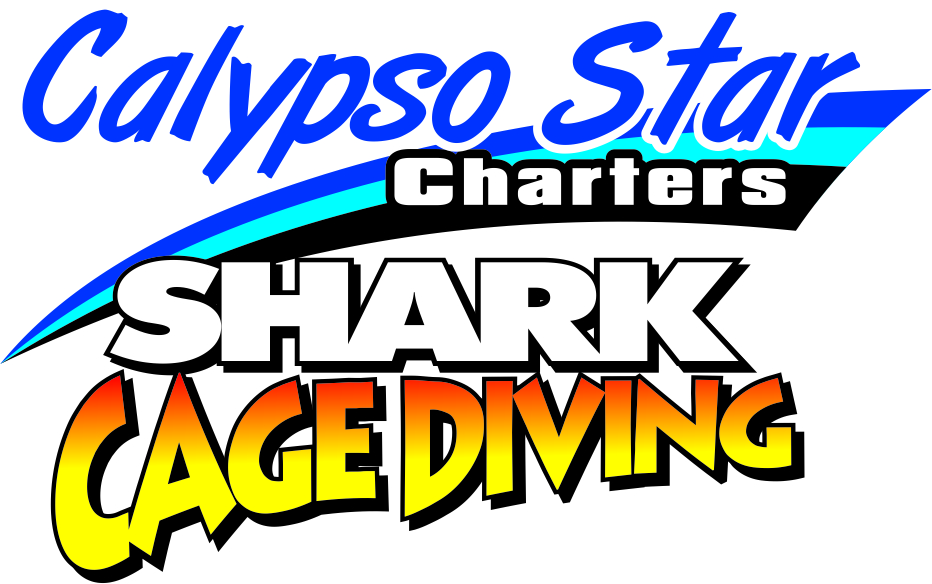 Calypso Star Charters